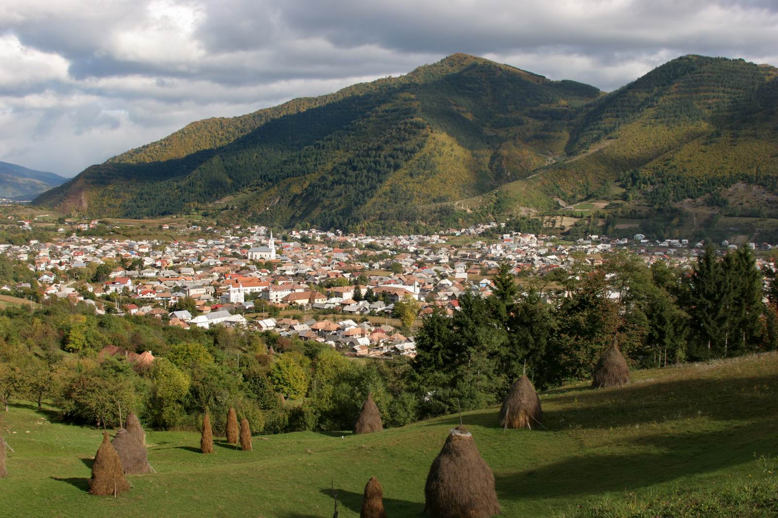 Bistrita-Nasaud